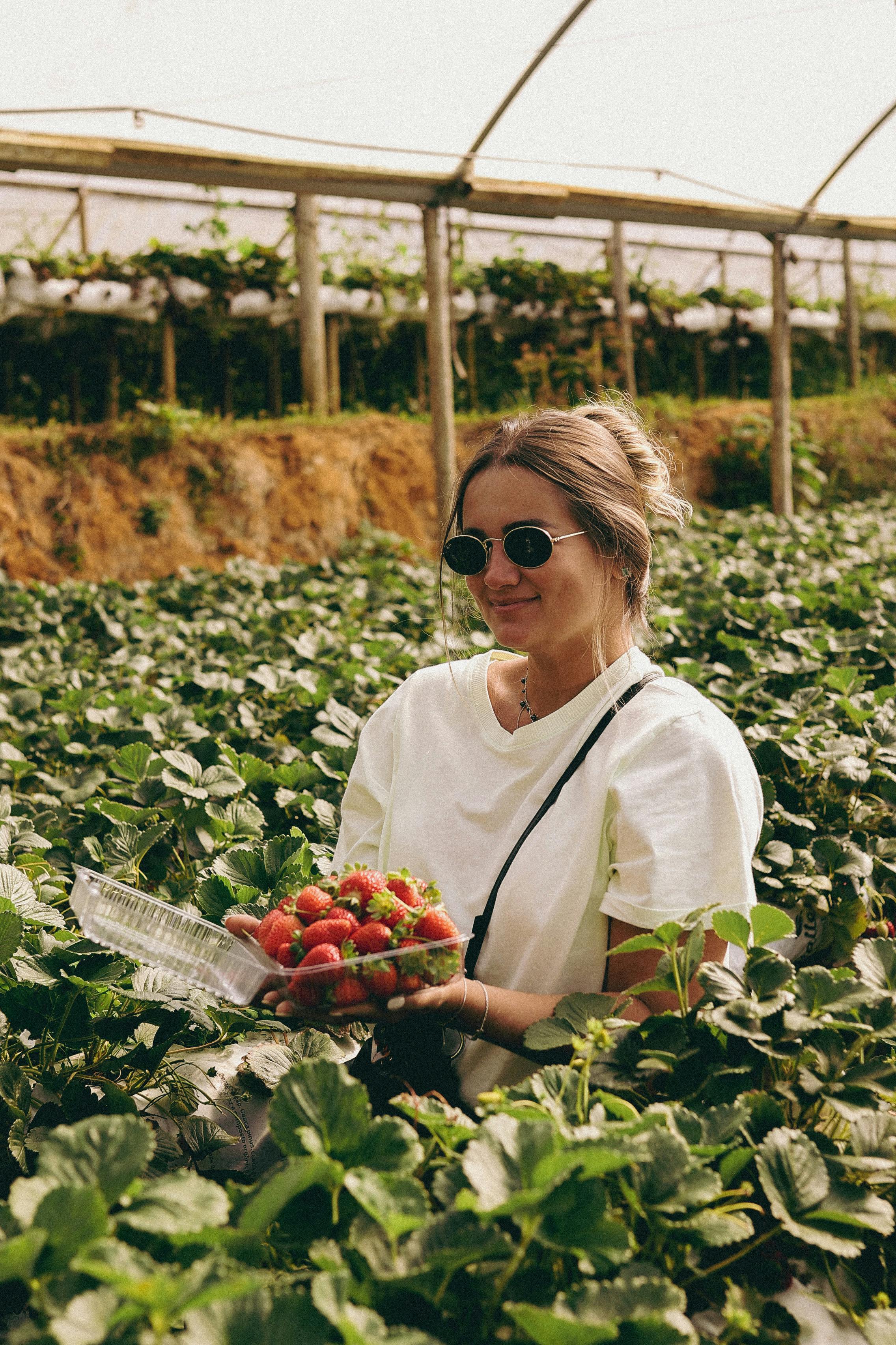 blonde woman with strawberries in plastic container