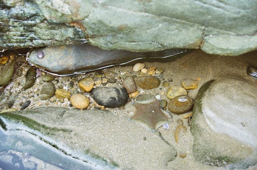 Kostenloses Stock Foto zu felsen, meer, meeresküste