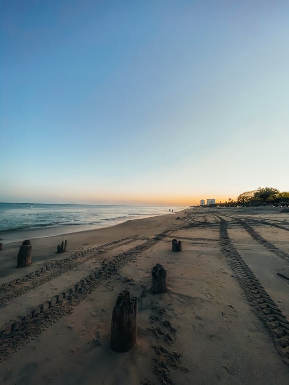 ビーチ, 日没, 砂の無料の写真素材