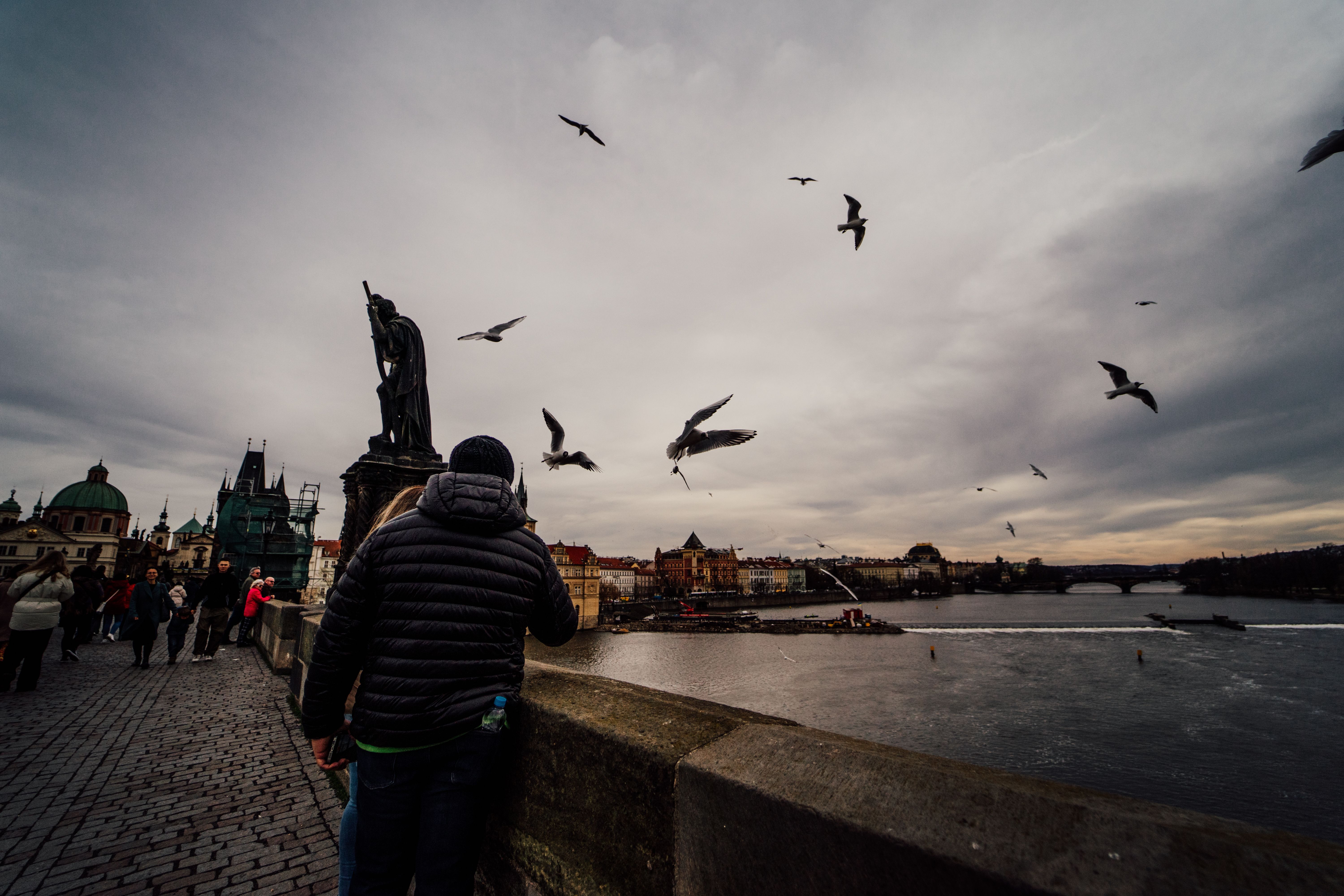 charles bridge prague czech republic dawn baroque statues vltava morning mist