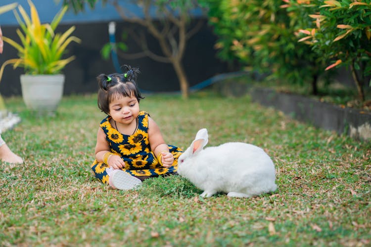 Toddler Playing With A White Rabbit