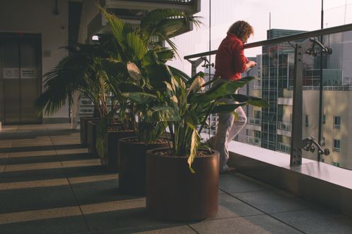 Free Person enjoying view from a modern balcony with lush potted plants, capturing urban architecture. Stock Photo
