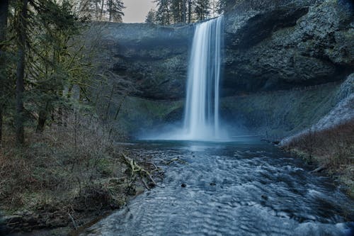 silver falls 주립 공원, 강, 경치의 무료 스톡 사진