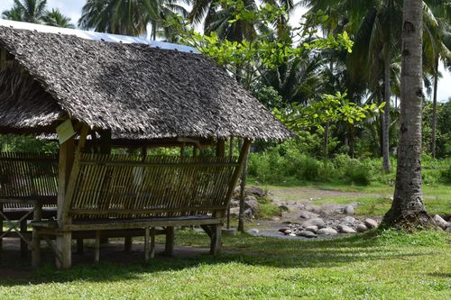 Free A serene, traditional thatch hut amidst green foliage in Carigara, Philippines. Stock Photo