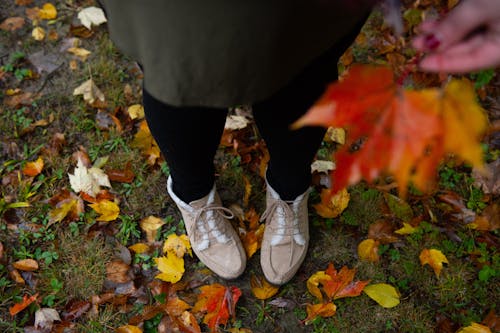 Free Person Standing on Fallen Leaves Stock Photo