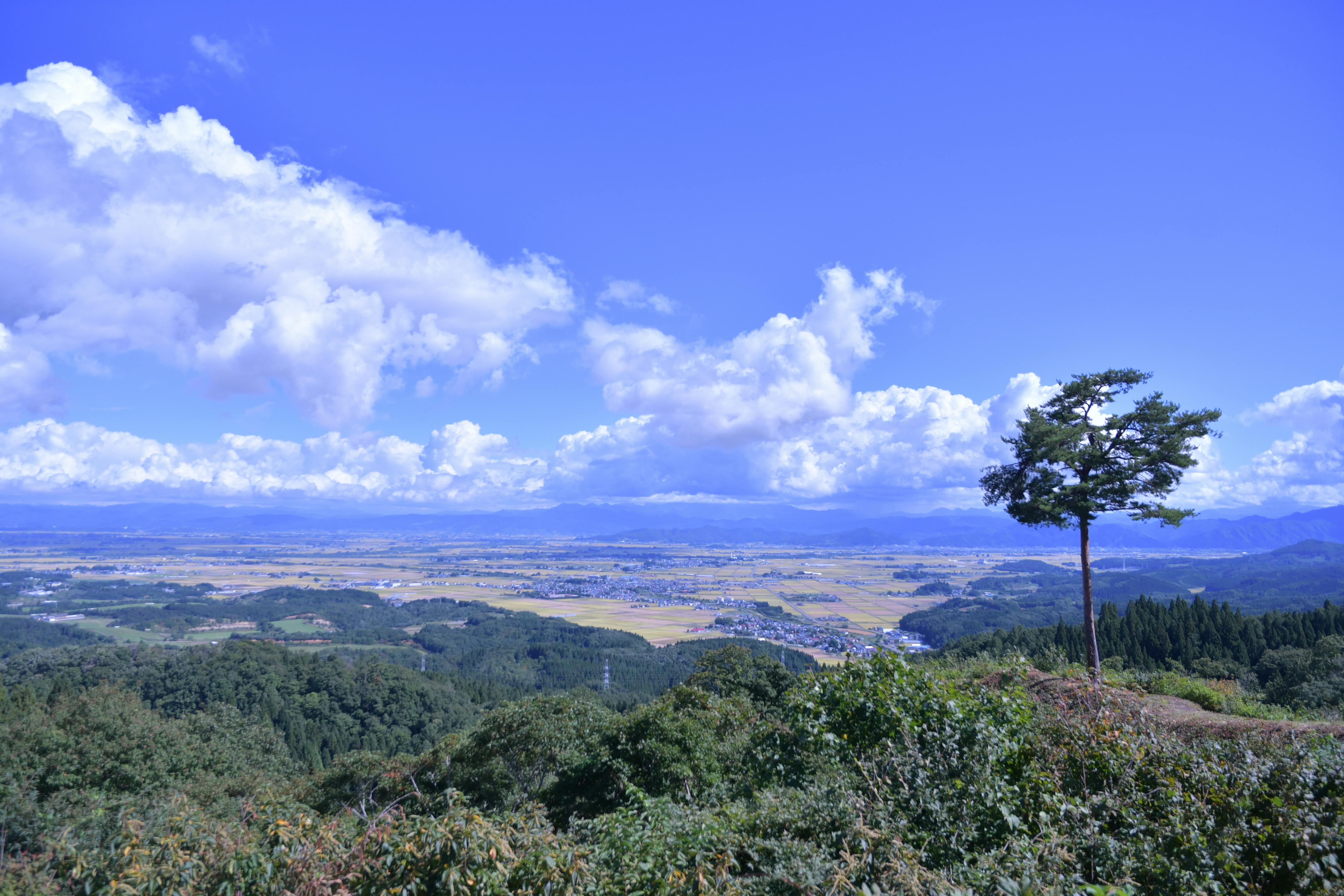 日本 自然の景色 良い眺めの無料の写真素材