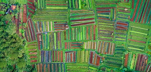 Drone Shot Of Cropland