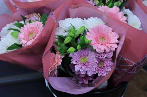 Foto stok gratis anggun, bunga-bunga, cinta