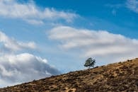 山坡上矗立着一棵孤独的树，背景是云层和蓝天