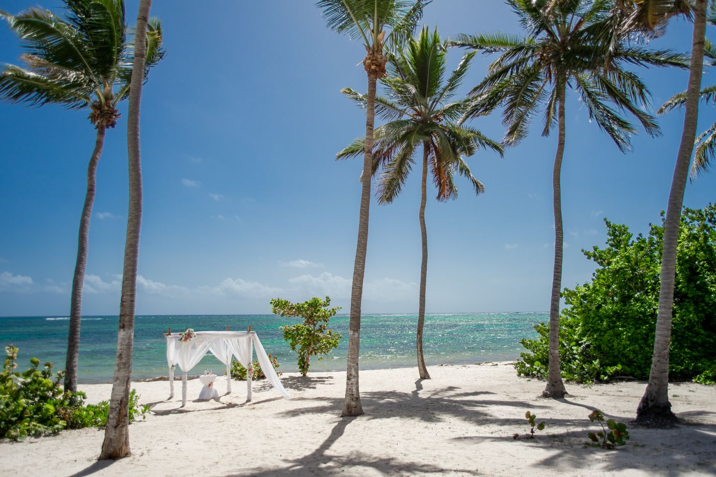 A wedding altar on a tropical beach.