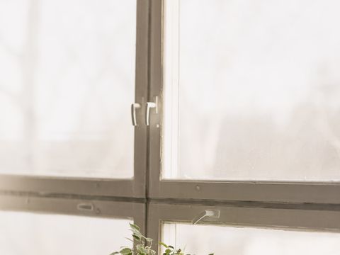 Sunlit window sill with a potted plant
