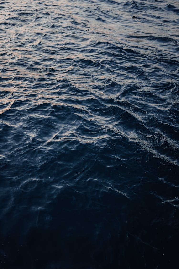 Dark Ocean Surface