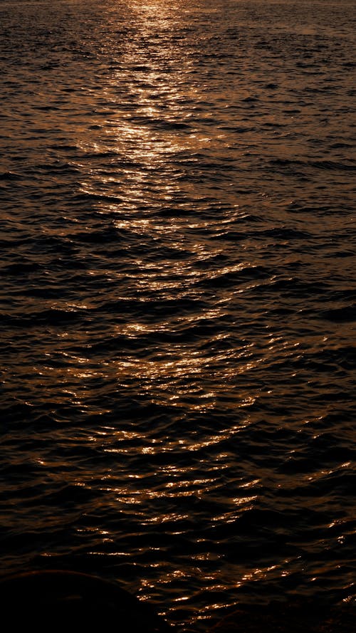 고요한, 물, 바다의 무료 스톡 사진