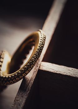 A detailed brass octopus tentacle pendant resting inside a wooden box with selective focus.