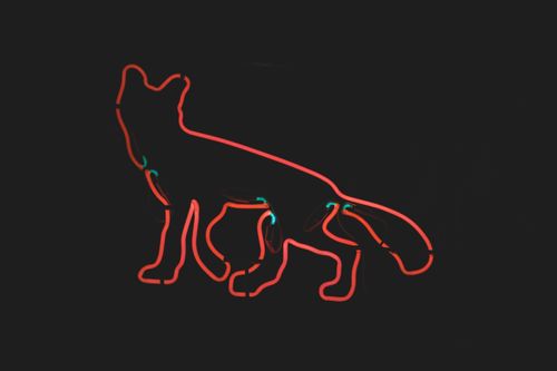 Free Striking neon dog silhouette outlined in vibrant red on a stark black background. Stock Photo
