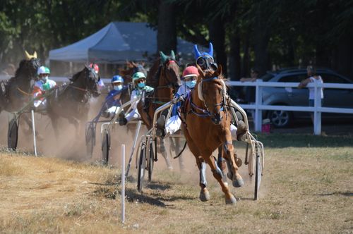 Free Horse racing event with horse-drawn carts on a dusty track, showcasing speed and competition. Stock Photo