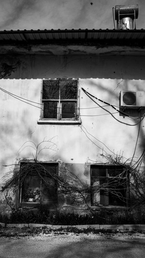 Free Black and white image of an abandoned house with vines and broken windows. Stock Photo