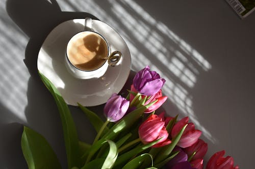 Free Cup of Coffee and a Bunch of Tulip Flowers  Stock Photo