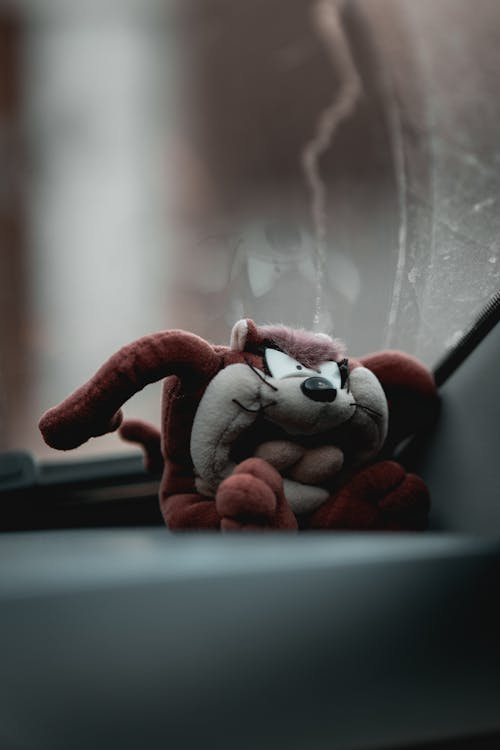 Close-up of a Stuffed Toy on a Car Dashboard 