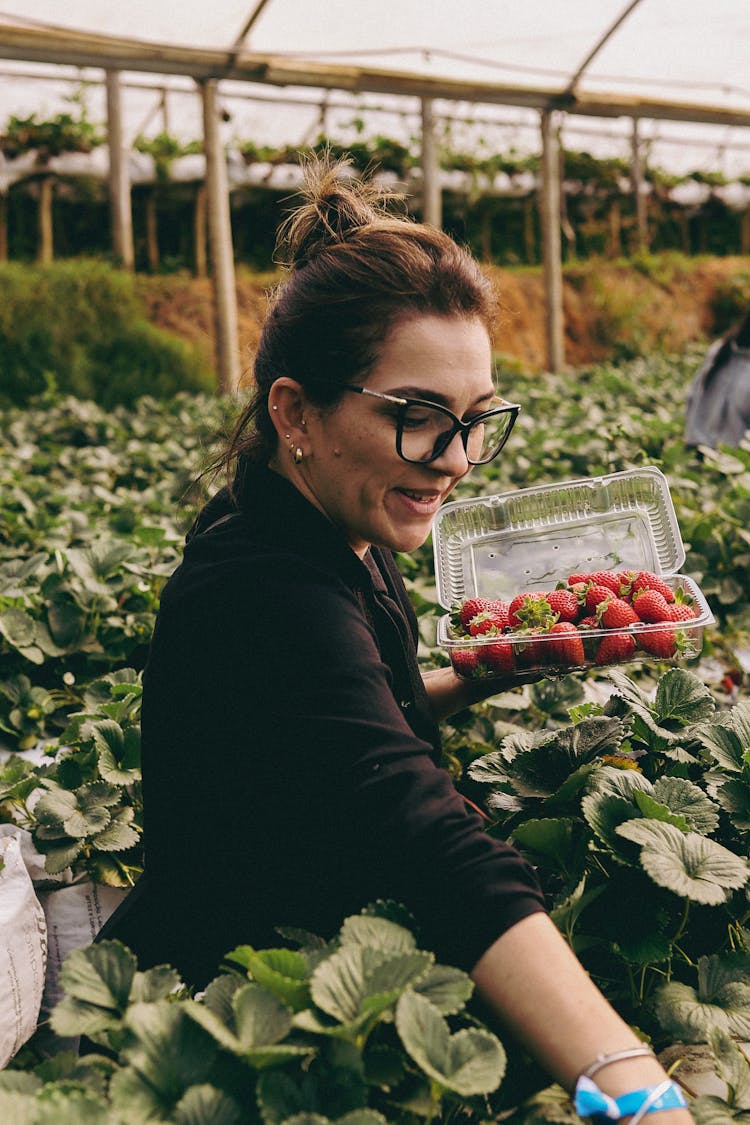 Woman Picking Strawberries 