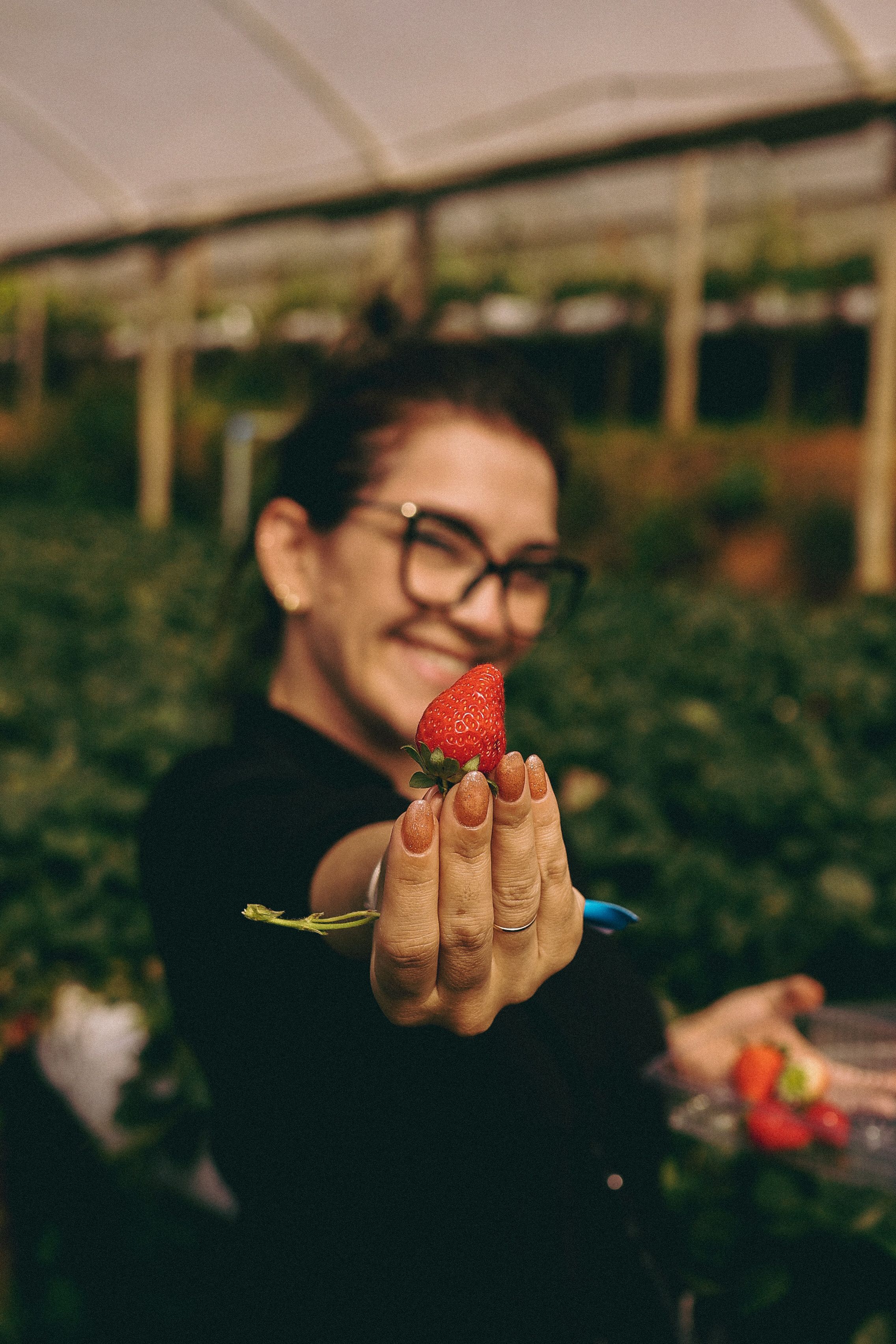 Woman Holding a Freshly Picked Strawberry · Free Stock Photo