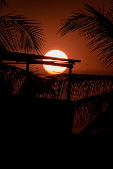 Silhouette of palm trees against a vibrant tropical sunset, creating an exotic, tranquil scene.