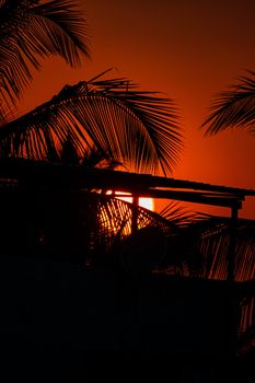 Dramatic sunset with silhouetted palm trees and vibrant sky creating a tropical ambiance.