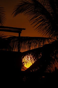 Vivid sunset with palm tree silhouettes creating a dramatic skyline.