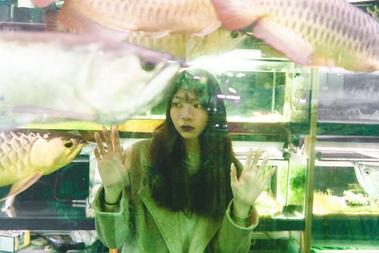 Woman In A Suit Jacket Touching The Glass Of An Aquarium