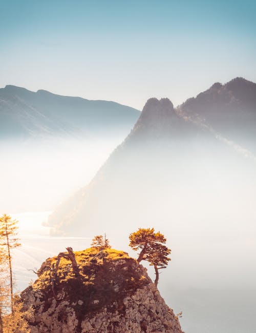 Berg Von Nebel Bedeckt