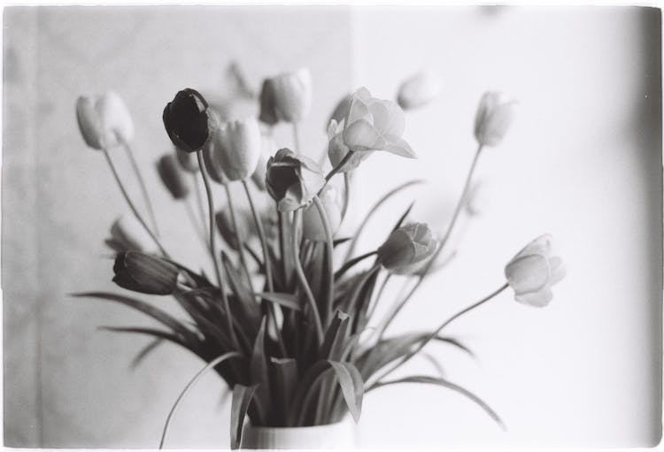 Flowers In A Vase 