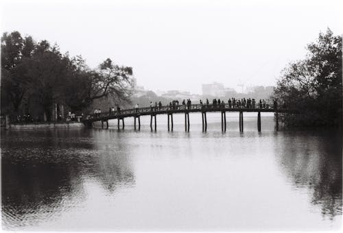 People Walking on Bridge near Park