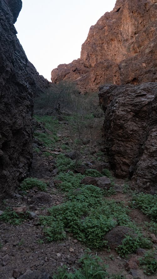 Ilmainen kuvapankkikuva tunnisteilla jyrkänne, kanjoni, kivet