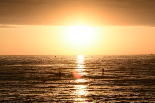 シースケープ, 地平線, 夕暮れの無料の写真素材