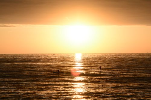 Free Peaceful sunset over the ocean with paddleboarders silhouetted in the soft glow. Stock Photo
