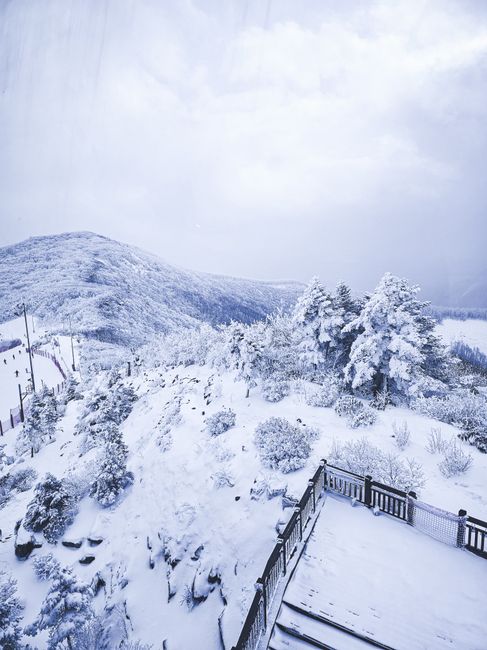 태백산 눈꽃축제 겨울 여행