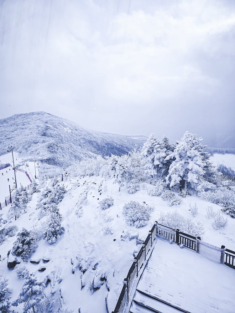 Snowy Blue Mountains In Australia