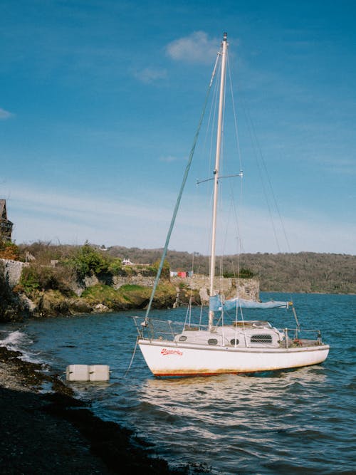 Sailboat in Water near Seashore