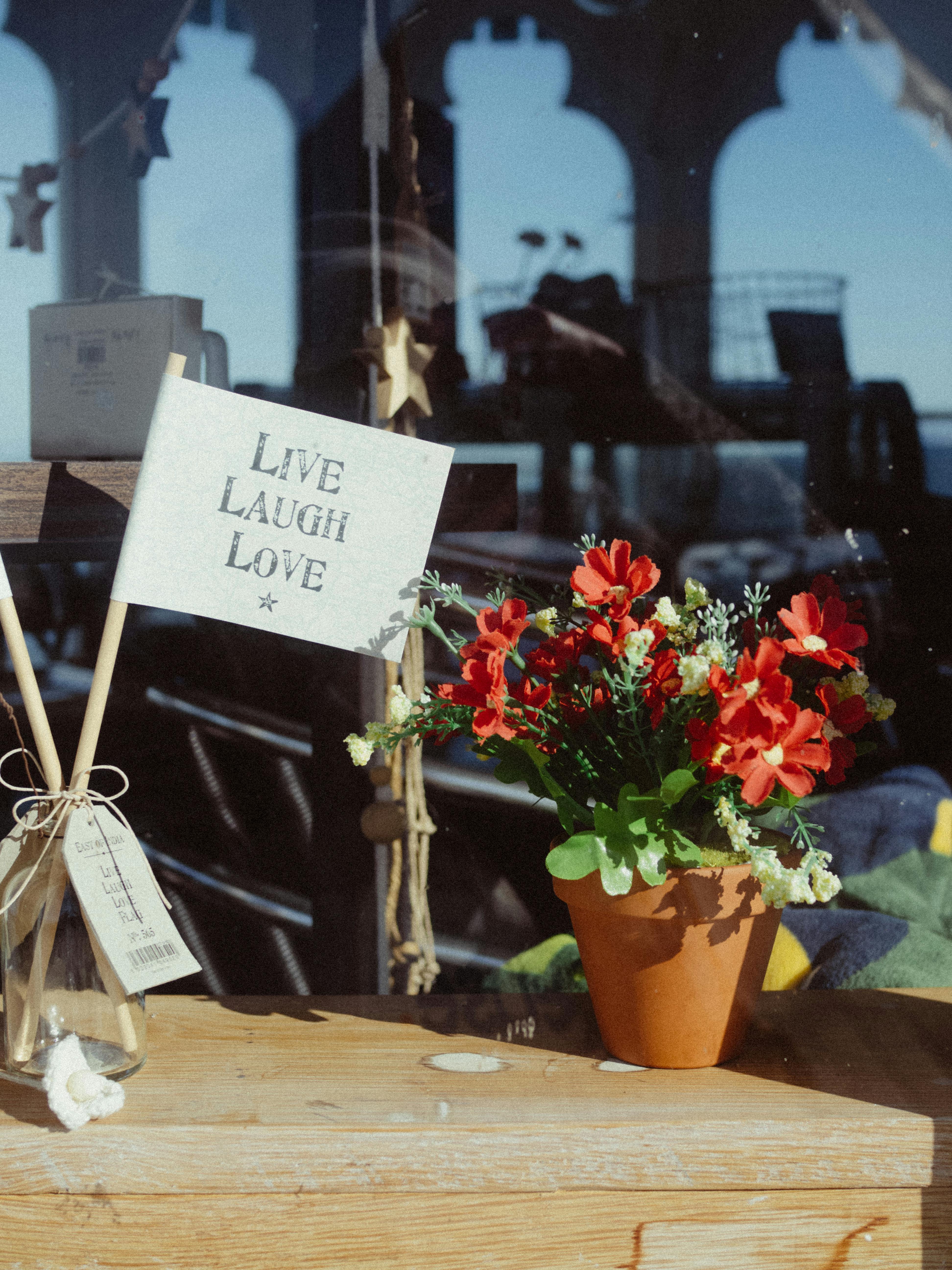 Potted red flowers beside an inspirational quote in a sunny setting.