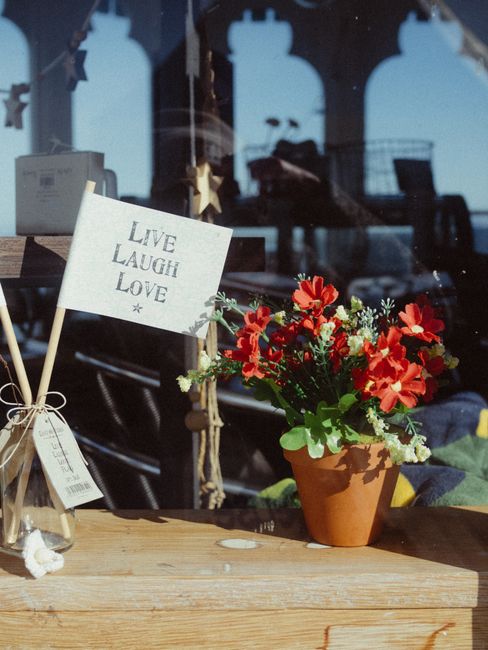 Potted red flowers beside an inspirational quote in a sunny setting.