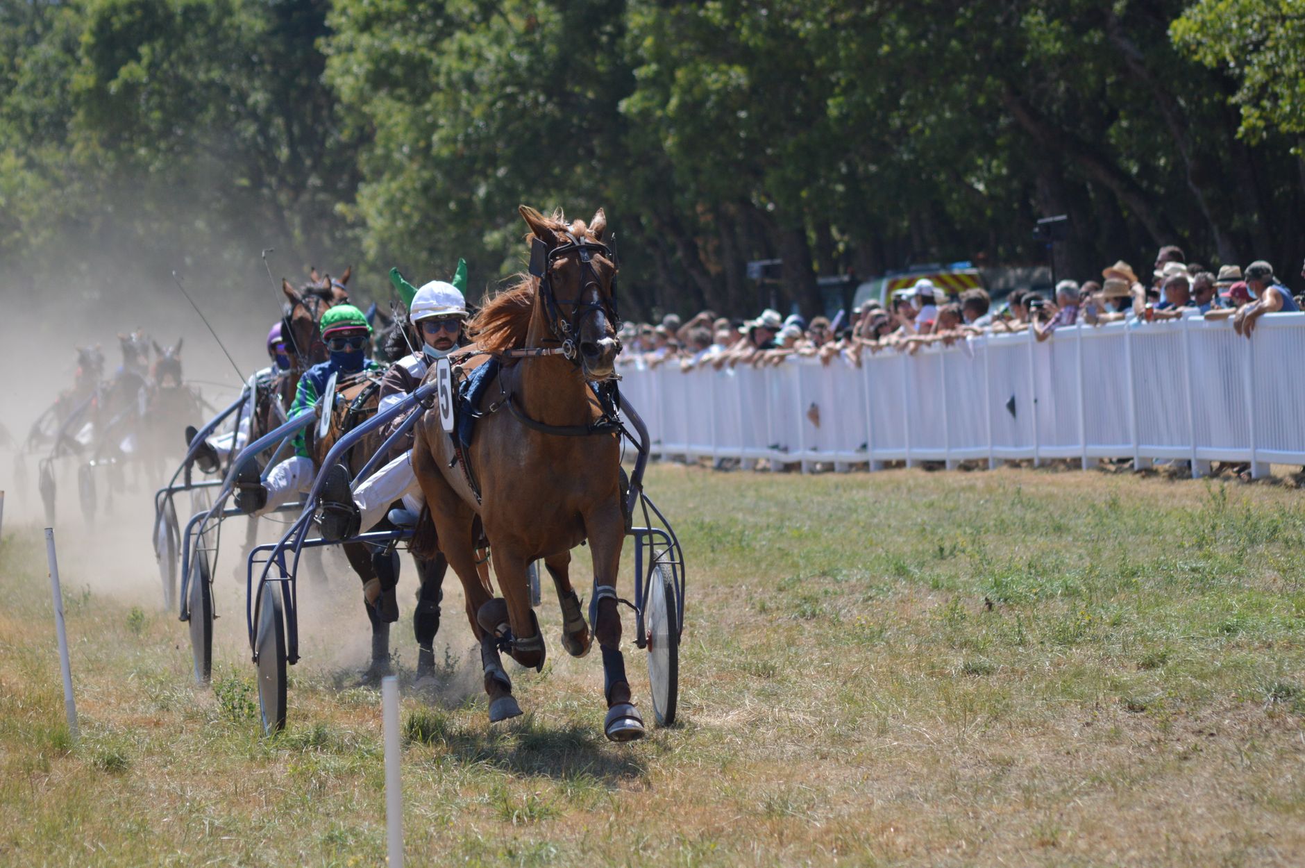 Harness racing competition with jockeys and horses in action, capturing speed and excitement.