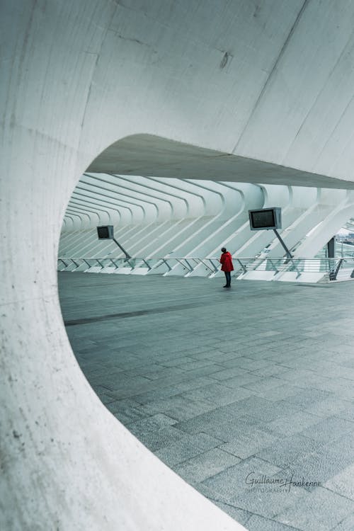 Foto d'estoc gratuïta de a l'aire lliure, acer, aeroport