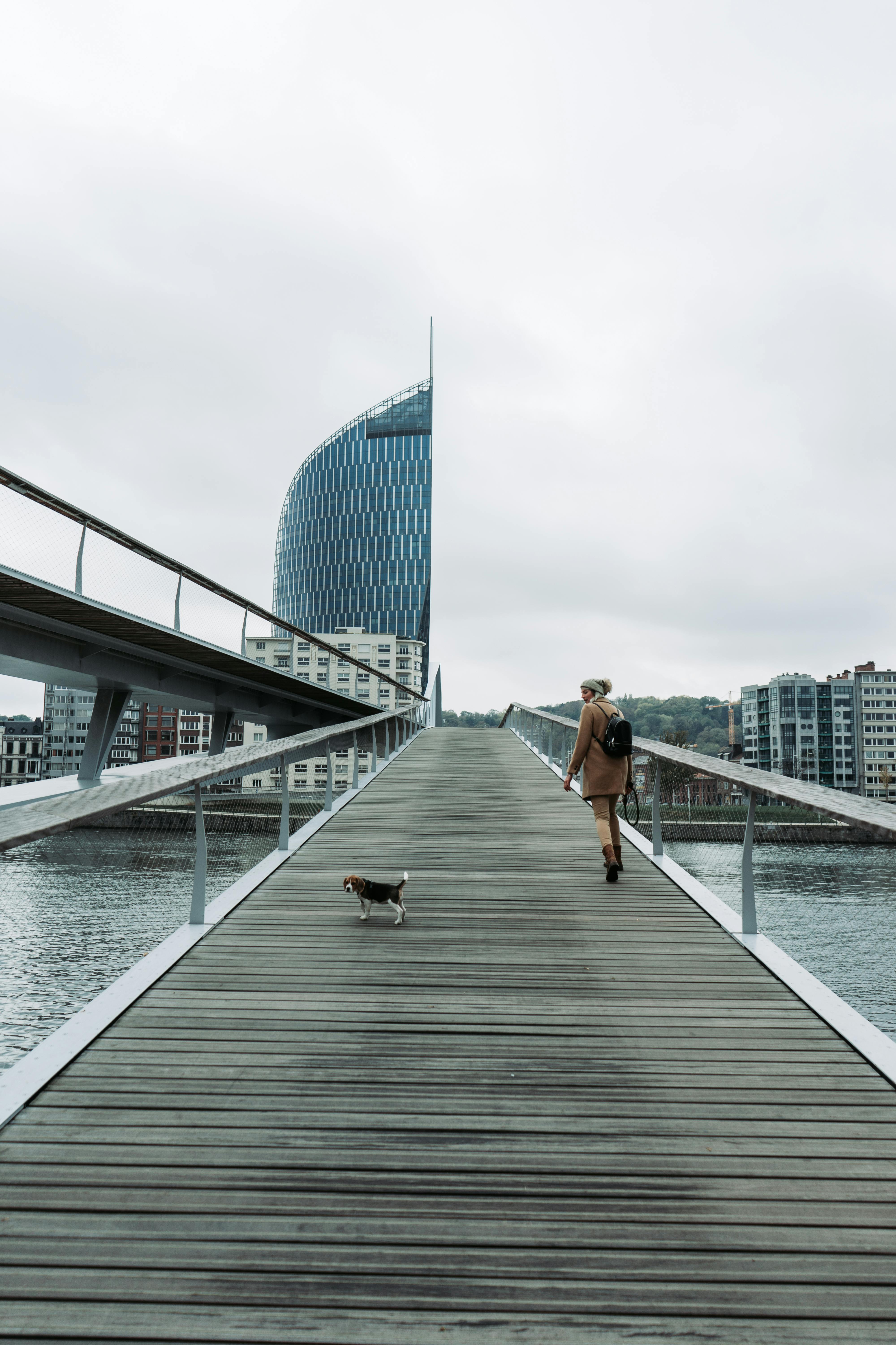 woman walking on bridge with tricolor beagle