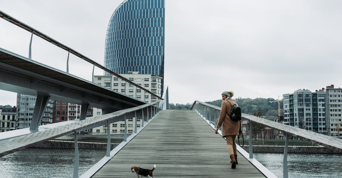 What does high maintenance mean in a dog