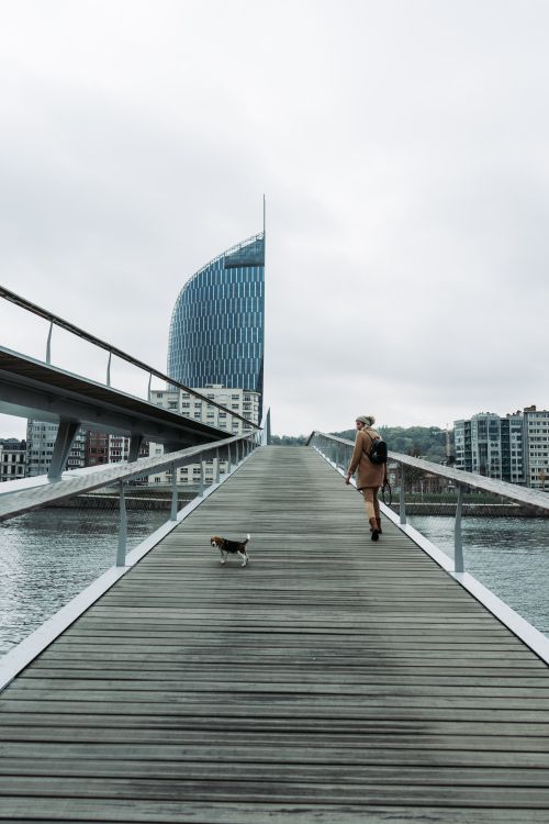 Free Woman walking dog on a river bridge with modern buildings in Liège. Stock Photo