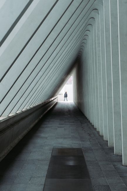 Intriguing perspective of a modern architectural hallway with a lone figure at the end.