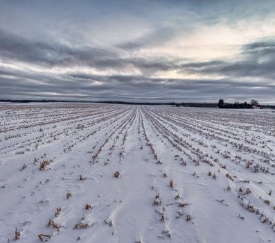 A snow-blanketed field under a dramatic winter sky in Saint Charles, MN.
