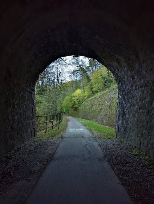 Path in Tunnel in Green Forest