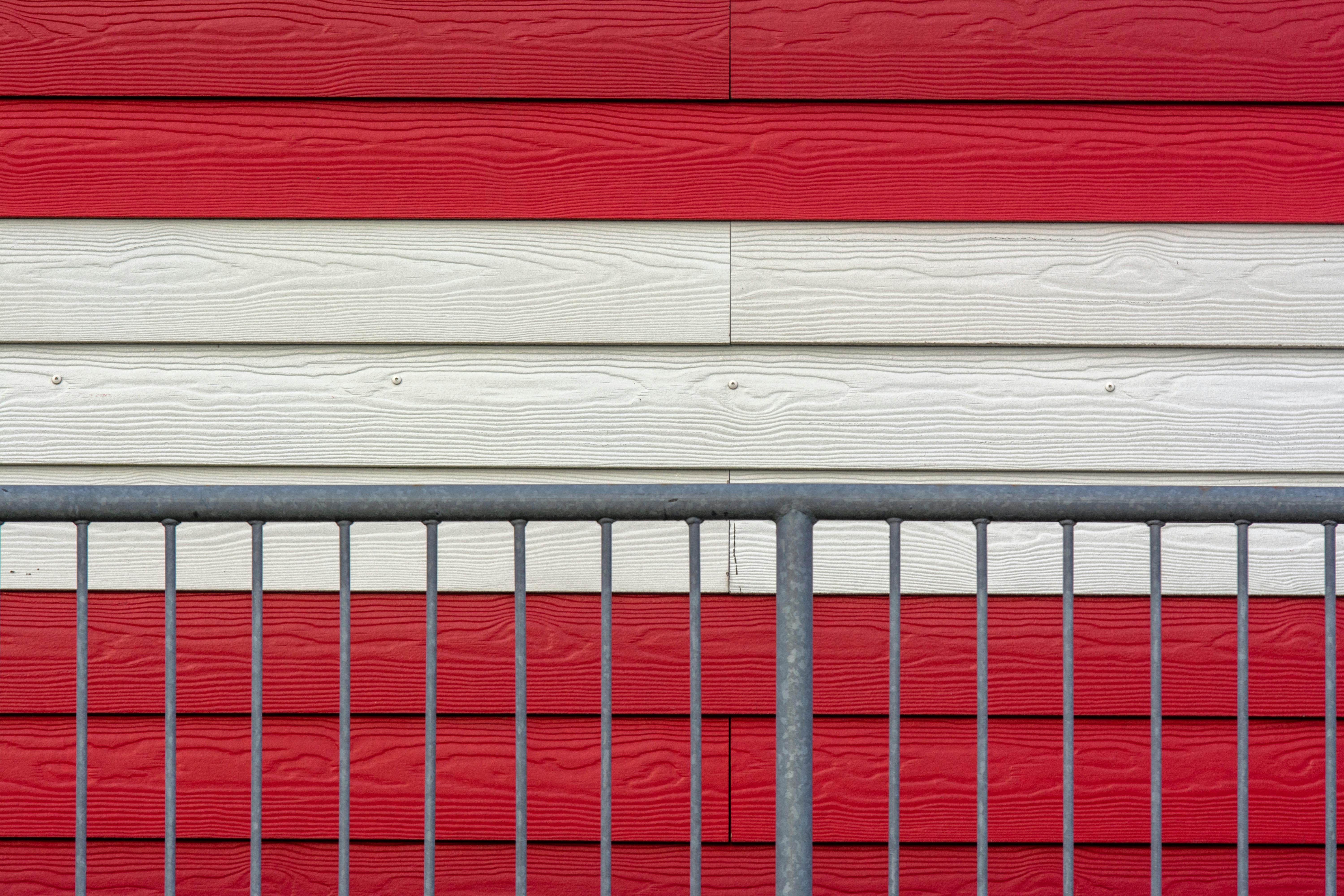 Stirling Albion: Manager Alan Maybury placed on gardening leave — Photo by Jan van der Wolf on Pexels