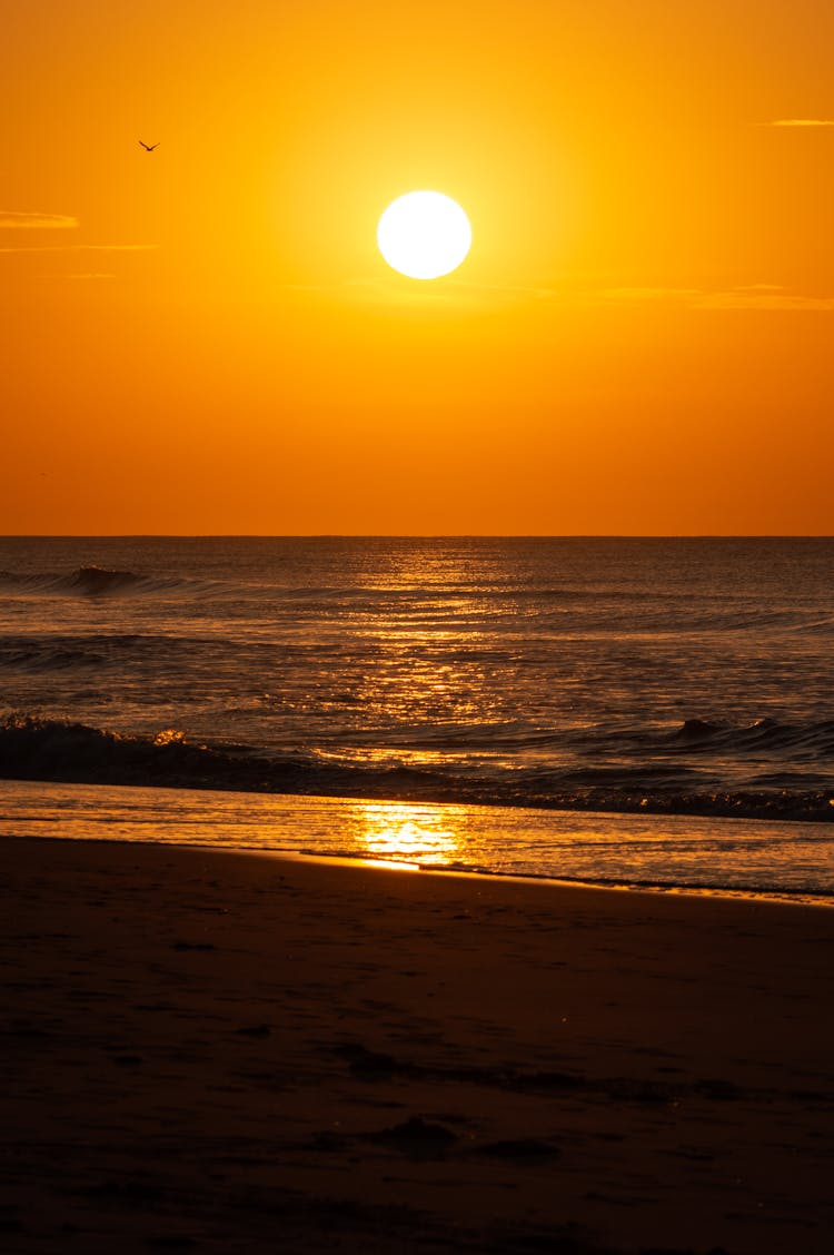 Sun On Clear Sky Over Sea Shore At Sunset